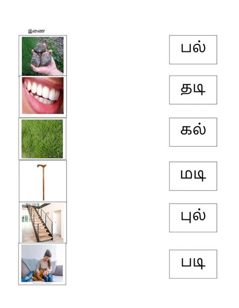 Tamil Two Letter Words Interactive Worksheet