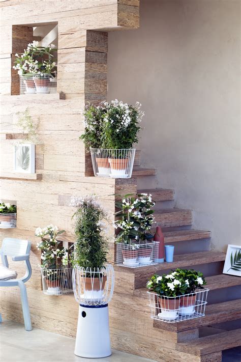 March 2016 White Fragrant Plants Are Houseplants Of The Month Flower