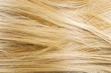 Woman Blonde Hair Texture Stock Image Image Of Female