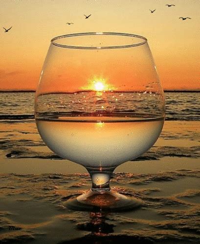 Foto Animada Wine Vacation Through The Looking Glass Sunset Photos