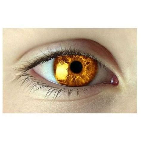 What Is Your True Magical Eye Colour Olhos Dourados Cores De Olhos