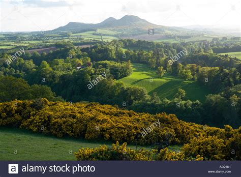 Scotts View Of The Eildon Hills In The Scottish Borders In Spring