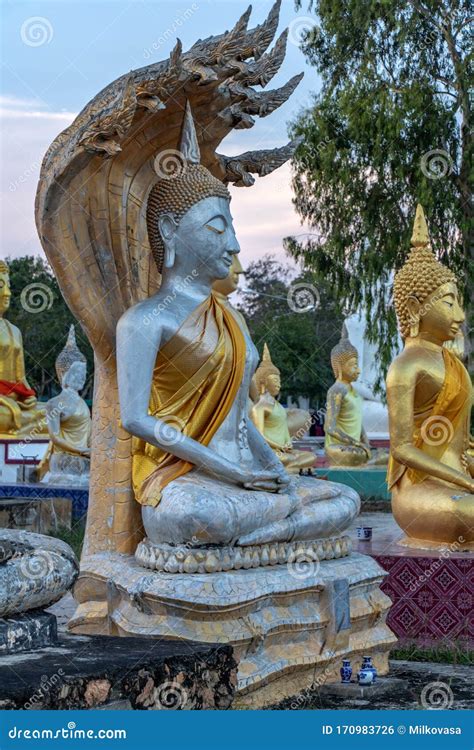 A Buddha With Naga Statues At The Buddhist Cemetery Stock Photo