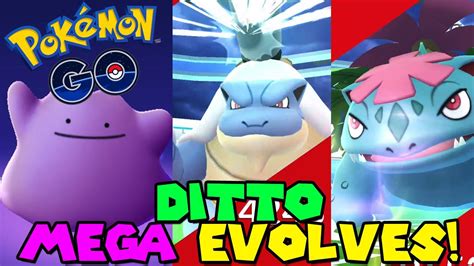 Ditto Mega Evolves Into Mega Blastoise And Mega Venusaur In Pokemon Go Ditto Mega Evolution Youtube