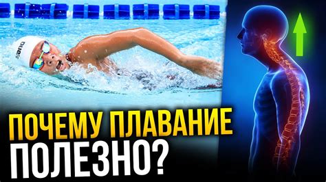 Польза плавания: 8 свойства чем полезно плавание в бассейне для здоровья