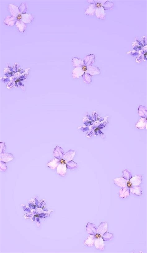 100 Aesthetic Purple Flower Wallpapers