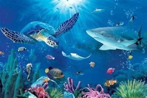 Can You Name All These Sea Animals Trivia Quiz Livingly