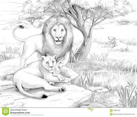 Safari Lions Stock Illustration Image Of Lioness