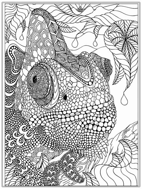 Animal Coloring Pages For Adults Printable At Free