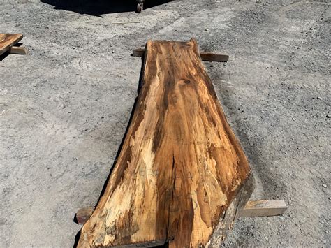 Live Edge Spalted Sycamore Le2221 1a 94 85 Irion Lumber Company
