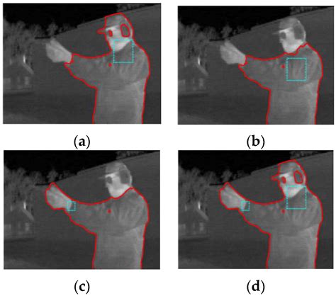Sensors Free Full Text Thermal Infrared Pedestrian Image