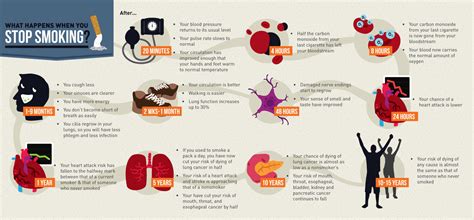 What Happens When You Stop Smoking Infographic Facts