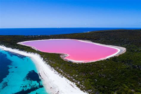 Lake Hillier Pink Australian Lake Gets Its Colour From Red And Purple