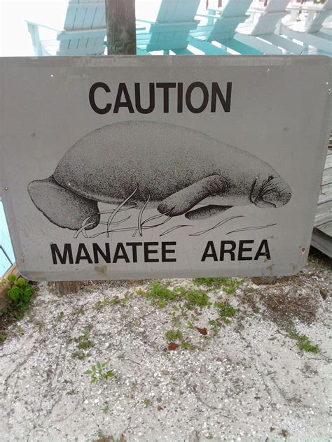 Manatee Safetysigns Seen Frequently In Our Intercoastal Waterways In