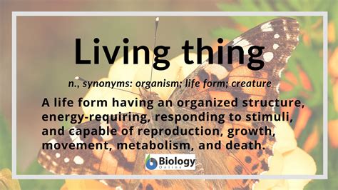 A Life For A Life Meaning Definition And Meaning In English Meaningkosh
