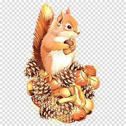 Squirrel Cartoon Eurasian Clip Vegetarian Clipart Tail
