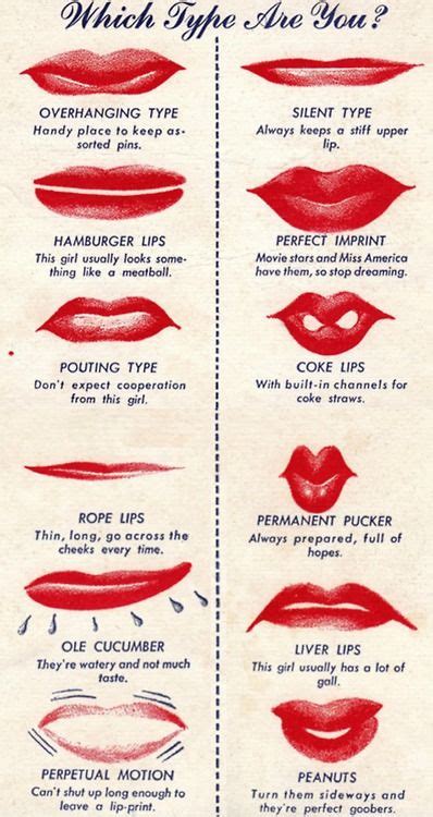 Mathematics Art A Cultural History Hardcover Types Of Lips Shape