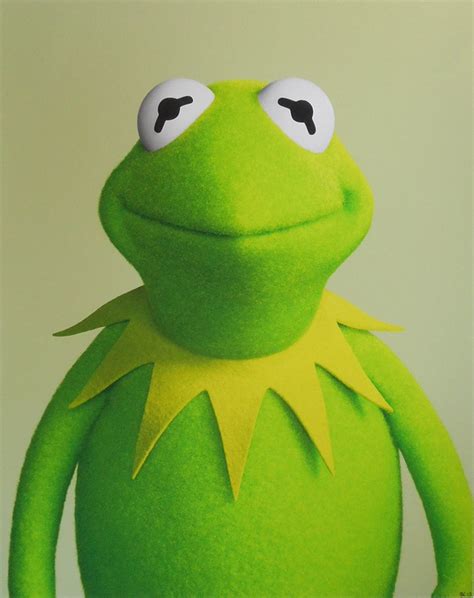 Pictures Of Kermit The Frog