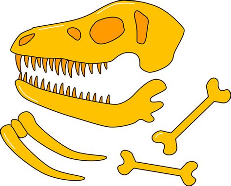 3 300 Dinosaur Bones Illustrations Royalty Free Vector Graphics