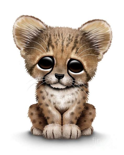 Click here to save the tutorial to pinterest! Baby Cheetah Drawing at GetDrawings | Free download