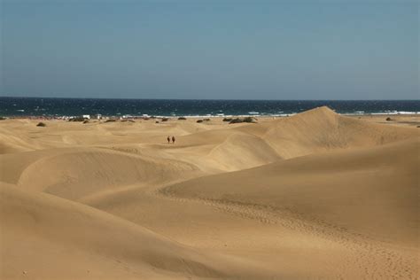 Maspalomas Sand Dunes Gay Beach Guide