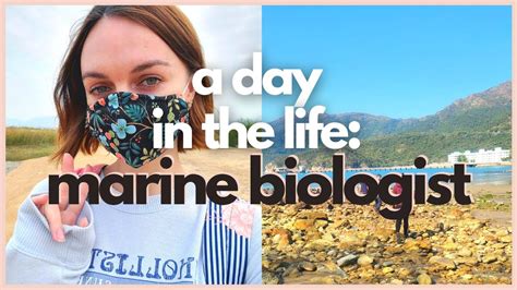 What Does A Marine Biologist Do A Day In The Life Of A Marine