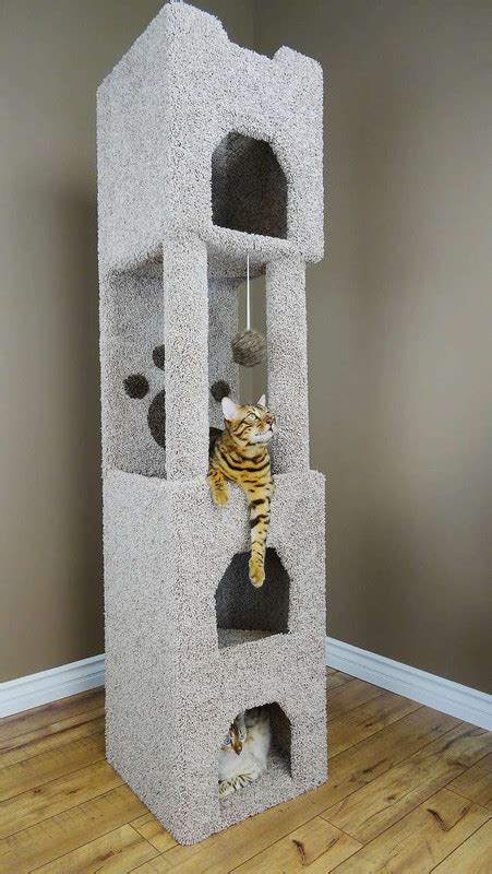 New Cat Condos Premier 6 Foot Cat Tower