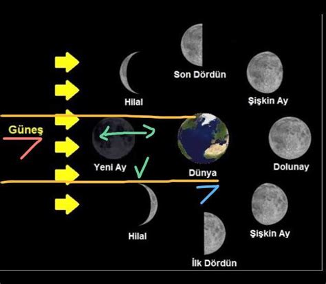 Ayın dünya ve güneş arasında olduğu evre hangi evredir Eodev com
