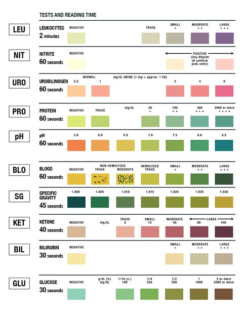 urinalysis test strip color chart learnparallaxcom