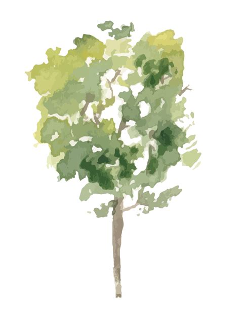 Watercolor Tree Pngs For Free Download