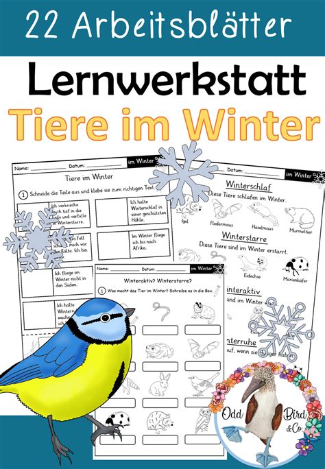 Lernwerkstatt Tiere Im Winter 22 Differenzierte Arbeitsblätter Für