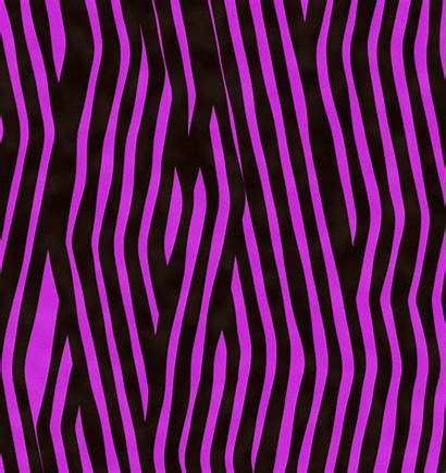 Pink Zebra Animal Backgrounds Background Desktop Wallpapers