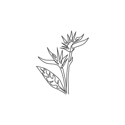 Single One Line Drawing Beauty Fresh Strelitzia For Garden Logo