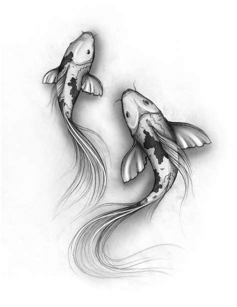 Koi Fish Sketch By Denxio On Deviantart