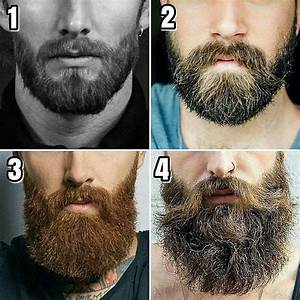 What Is Your Favorite Beard Size Comment Below Follow Us