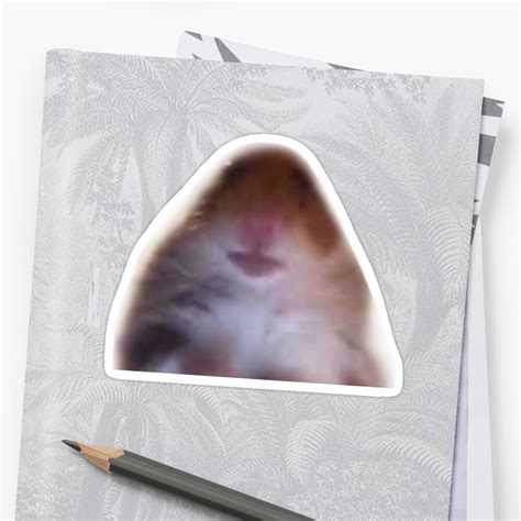 Hamster On Facetime Sticker By Gracemcc Redbubble