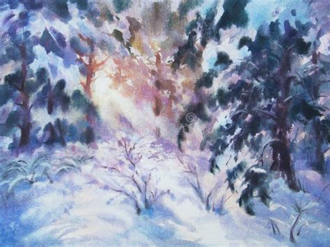 Watercolor Snowy Pine Trees Stock Illustrations 695 Watercolor Snowy