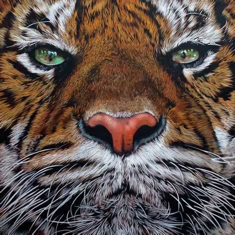 Sumatran Tiger By Steve Nayar Part Of The Endangered Species Series