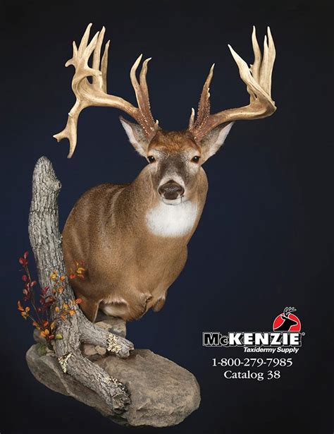 Its Taxidermy Catalog Season Kens Corner