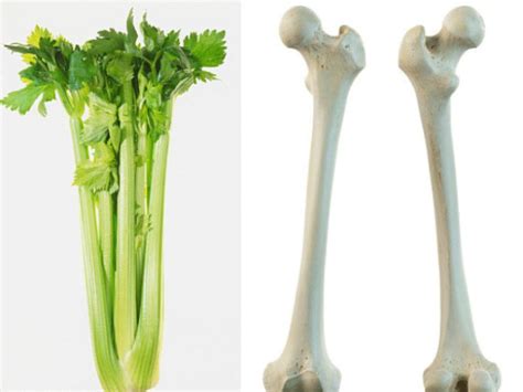 9 Foods That Resemble Body Parts