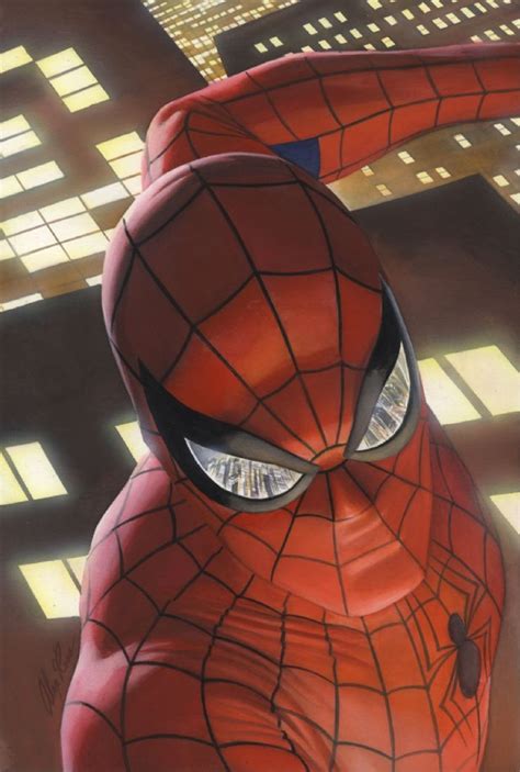549 Best Images About Web Of Spider Man On Pinterest The