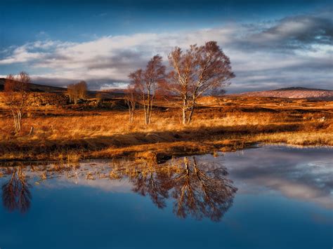 Wallpaper Rannoch Moor Scotland Trees Grass Water Reflection