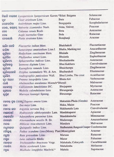 Identification pictures of tree species on australia's east coast, in full colour and enlarged sizes. Botanical names of Common plants of Odisha: Alphabetical ...