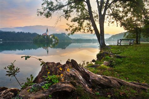 All You Need To Know To Visit Lake Bled In Slovenia Travel Slovenia