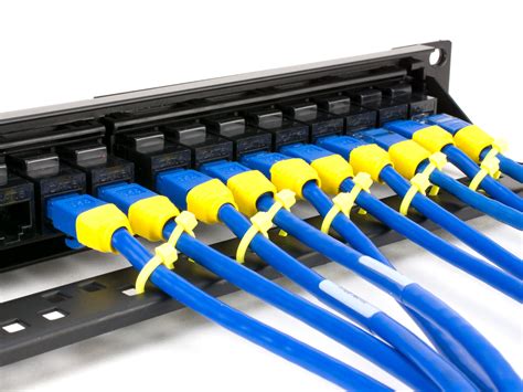 CAT5e HD Feed Through Patch Panel 24 Port 1U | Computer Cable Store