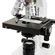 Celestron Labs Cb Cf Compound Binocular Microscope B H