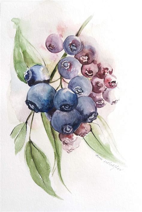 Watercolor Painting Of Blueberries And Leaves On White Paper