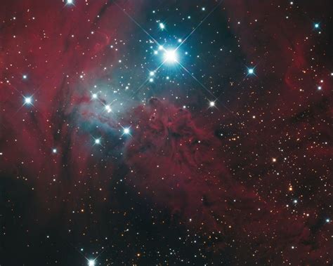 Wish You Were Here — Ngc2264 Fox Fur Nebula In Lrgb Ha By