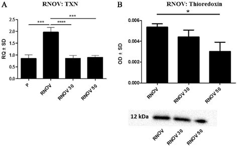 Effect Of Resveratrol On The Expression Levels Of Txn And Txn In Rnov
