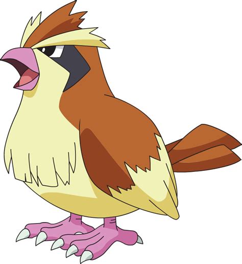 Pidgey Pokémon Wiki Wikia